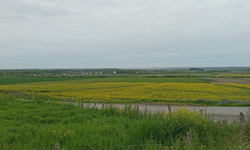 Çarşamba Ovası’nın Yerleşim Kültürüne Etkisi