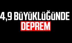 4,9 büyüklüğünde deprem: Balıkesir yine sallandı
