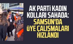 AK Parti Kadın Kolları sahada: Samsun'da üye çalışmaları hızlandı