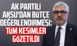 AK Partili Ersan Aksu'dan bütçe değerlendirmesi