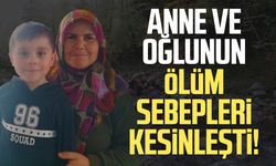 Anne ve oğlunun ölüm sebepleri kesinleşti!