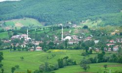 Asarcık’ta Yüksek Kesim Yerleşimlerinin Yaşam Biçimi