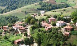 Asarcık’ta yaşam: kırsal hayat, tarım ve kültür