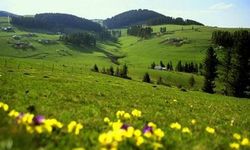 Asarcık’ın Yaylaları ve Doğa Rotaları