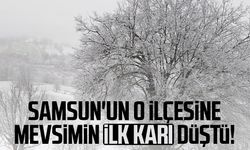 Asarcık'a mevsimin ilk karı düştü!