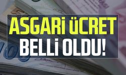 Yeni asgari ücret açıklandı!