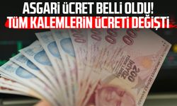 Asgari ücret belli oldu! Tüm kalemlerin ücreti değişti