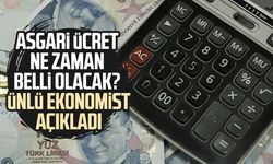 Asgari ücret ne zaman belli olacak? Ünlü ekonomist açıkladı
