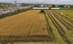 Bafra Ovası’nın Bölge Yaşamına Sağladığı Zenginlik