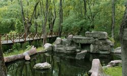 Bafra’da Doğal Güzellikler ve Piknik Alanları