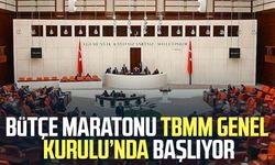 Bütçe mesaisi TBMM Genel Kurulu’nda başlıyor