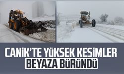 Canik'te yüksek kesimler beyaza büründü