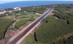 Çarşamba Ovası ve İlçesi: Tarım, Ekonomi ve Günlük Yaşam