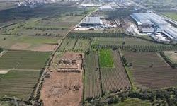 Çarşamba’da Tarımsal Üretimin Sosyal Hayata Yansımaları