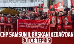 CHP Samsun İl Başkanı Mehmet Özdağ'dan bütçe tepkisi