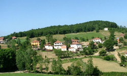 Asarcık’ta Dağ Yerleşimlerine Özgü Yaşam Biçimi