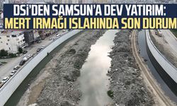 DSİ’den Samsun’a dev yatırım: Mert Irmağı ıslahında son durum