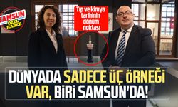 Dünyada sadece üç örneği var, biri Samsun'da!