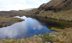 Havza’da Doğal Kaynakların Yerleşim Tarihine Etkisi