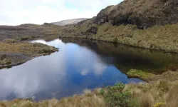 Havza’da Doğal Kaynakların Yerleşime Etkisi
