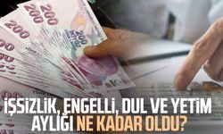 İşsizlik, engelli, dul ve yetim aylığı ne kadar oldu?