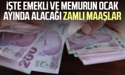 İşte emekli ve memurun ocak ayında alacağı zamlı maaşlar