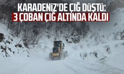 Karadeniz'de çığ düştü: 3 çoban çığ altında kaldı