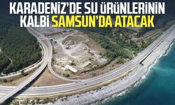 Karadeniz’de su ürünlerinin kalbi Samsun’da atacak