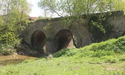 Kavak’ın Mevsimsel Değişimlerle Şekillenen Bölgesel Yaşamı