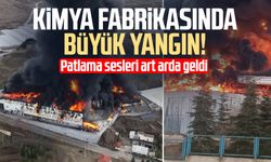 Kimya fabrikasında büyük yangın!
