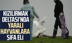 Kızılırmak Deltası’nda yaralı hayvanlara şifa eli