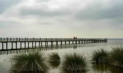 Ondokuzmayıs’ın Kıyı ve Kırsal Yaşam Arasındaki Doğal Denge