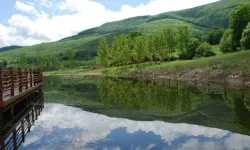 Ladik’in Yayla Kültüründen Doğan Geleneksel Yaşam Düzeni