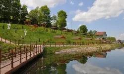 Ladik Gölü Çevresinde Yapılacak Aktiviteler