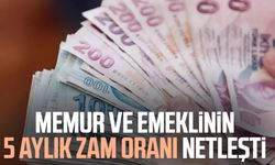 Memur ve emeklinin 5 aylık zam oranı netleşti