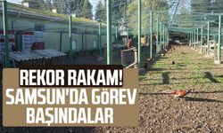 Rekor rakam! Samsun'da görev başındalar