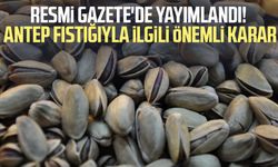 Resmi Gazete'de yayımlandı! Antep fıstığıyla ilgili önemli karar