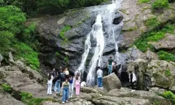 Salıpazarı İlçesi Rehberi: Tarım, Doğa ve Yerel Yaşam