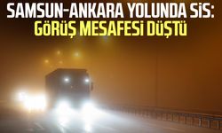 Samsun-Ankara yolunda sis: Görüş mesafesi düştü