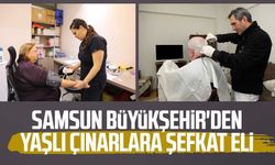 Samsun Büyükşehir'den yaşlı çınarlara şefkat eli