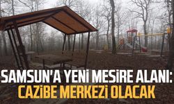 Samsun'a yeni mesire alanı: Cazibe merkezi olacak