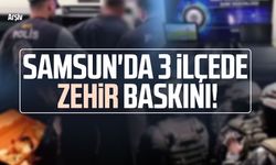 Samsun'da 3 ilçede zehir baskını! 9 kişi yakalandı