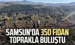 Samsun'da 350 fidan toprakla buluştu
