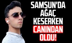Samsun'da ağaç keserken canından oldu: Tekin Gönültaş hayatını kaybetti