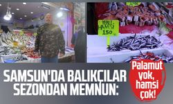 Samsun'da balıkçılar sezondan memnun: Palamut yok, hamsi çok!