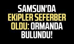 Samsun'da ekipler seferber oldu: Ormanda bulundu!