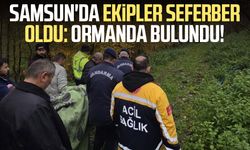 Samsun'da ekipler seferber oldu: Ormanda bulundu!