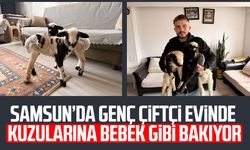 Samsun’da genç çiftçi evinde kuzularına bebek gibi bakıyor