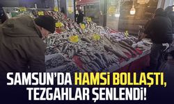 Samsun’da hamsi bollaştı, tezgahlar şenlendi!