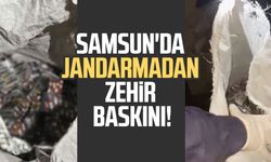 Samsun'da jandarmadan zehir baskını: Binlerce ele geçirildi
